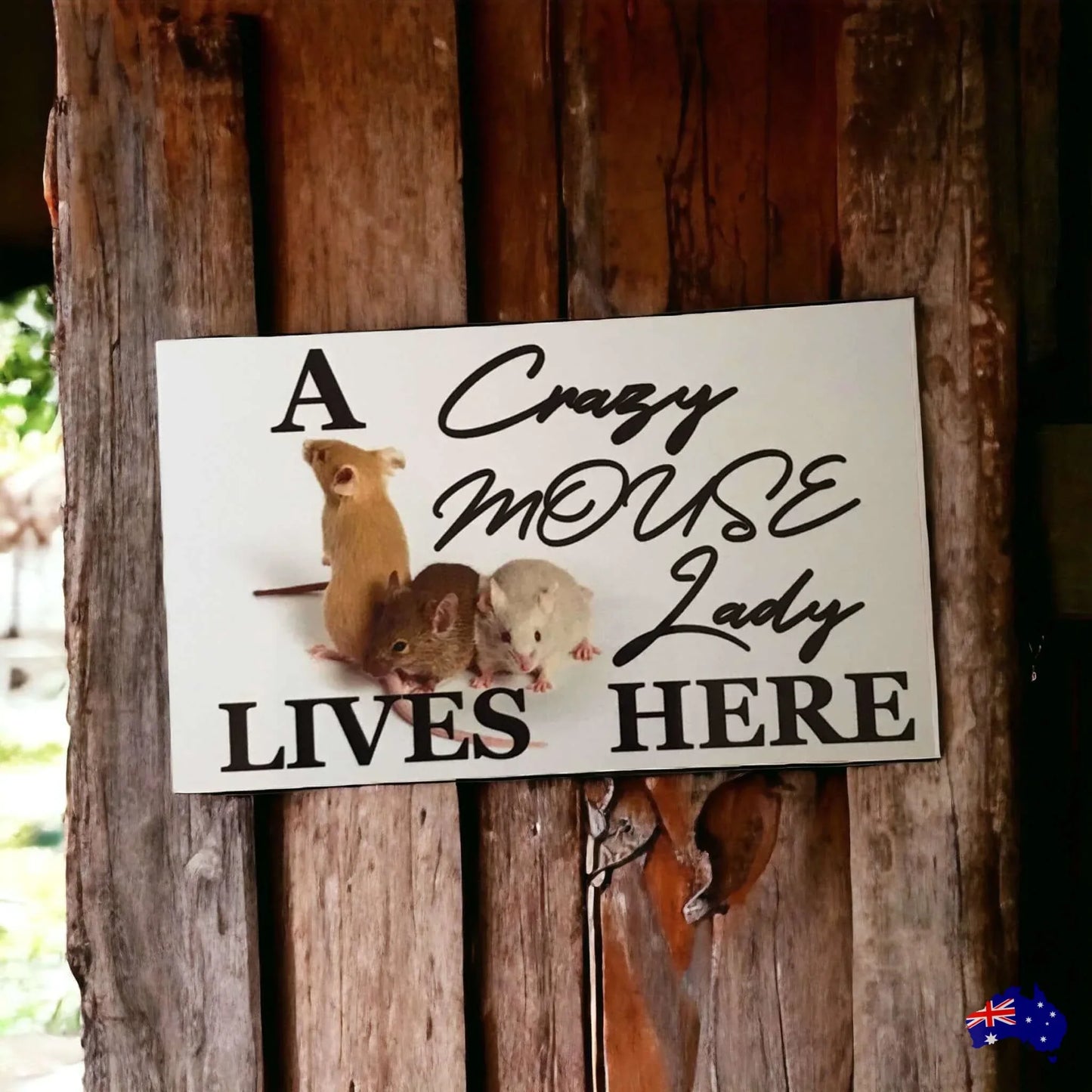 Crazy Mouse Lady Lives Here Sign - The Renmy Store Homewares & Gifts