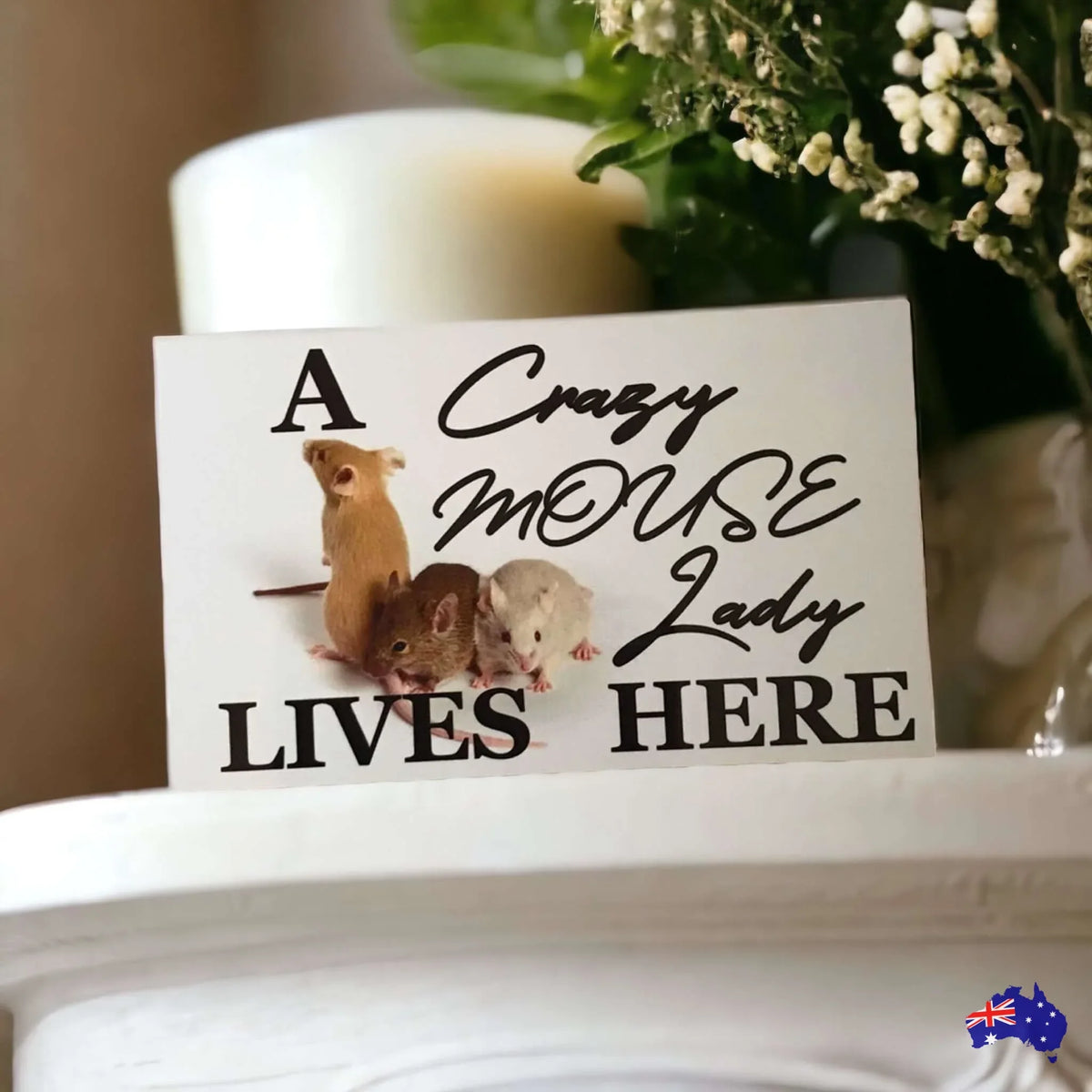 Crazy Mouse Lady Lives Here Sign - The Renmy Store Homewares & Gifts
