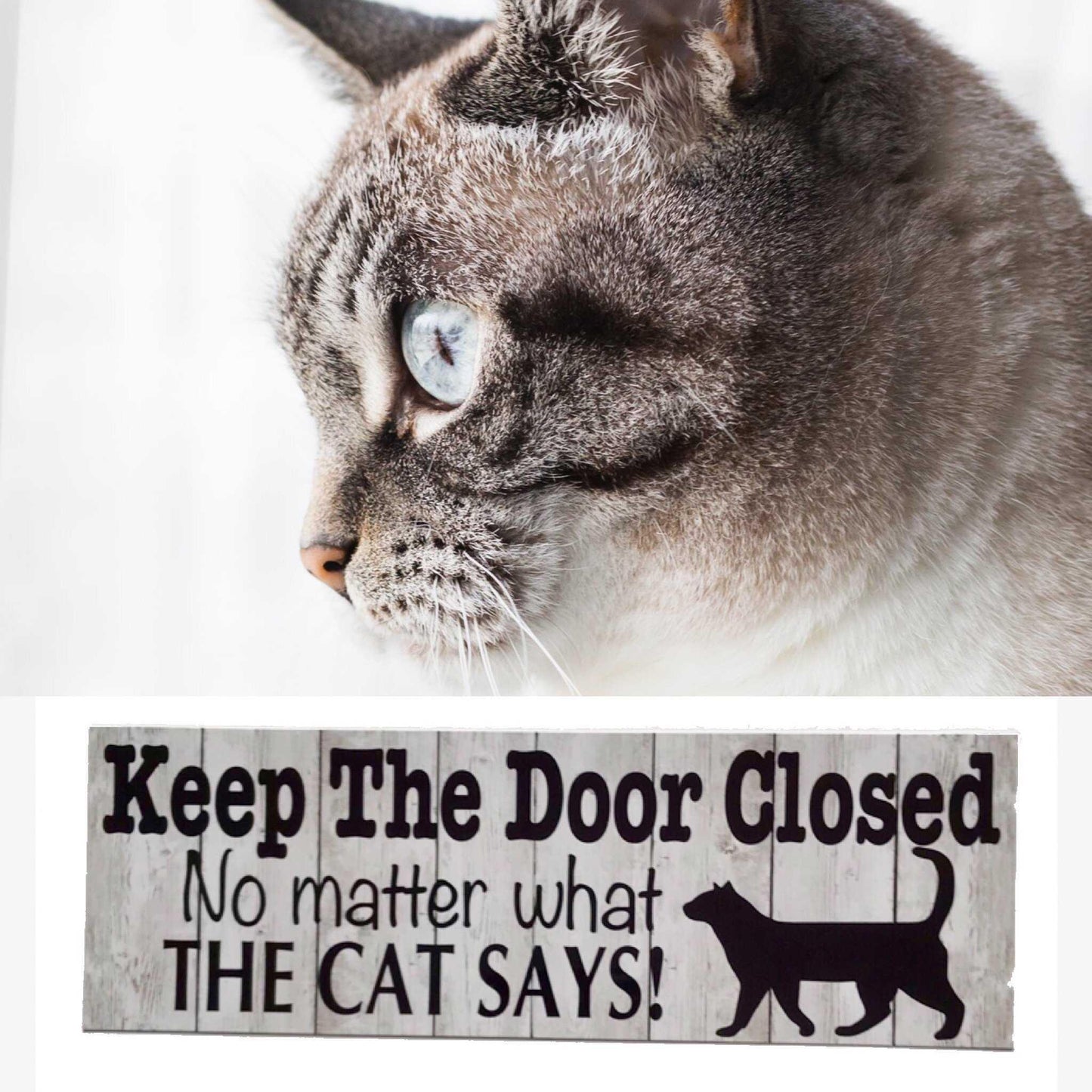 Keep The Door Closed No Matter What The Cat Says Sign - The Renmy Store Homewares & Gifts