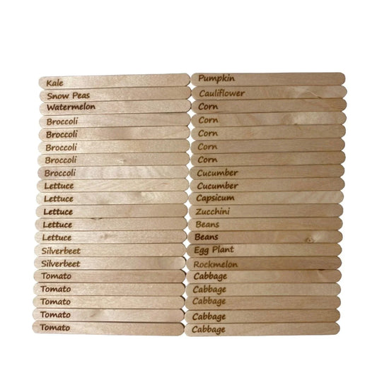 Vegetable Herb Garden Seed Label Marker Set of 40 Wood