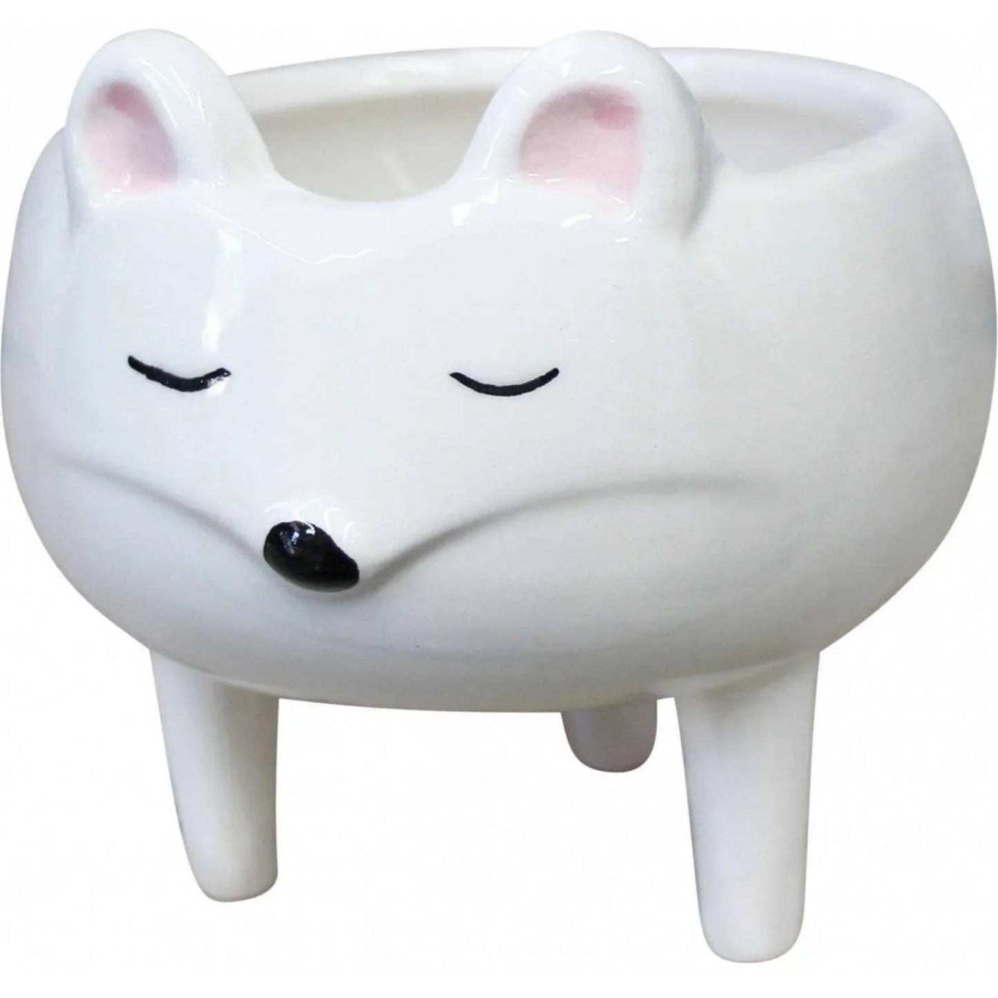 Mouse Pot Plant Planter Garden - The Renmy Store Homewares & Gifts
