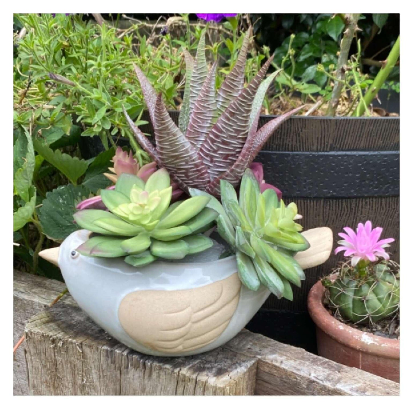 Bird Plant Pot Planter Garden Shabby - The Renmy Store Homewares & Gifts