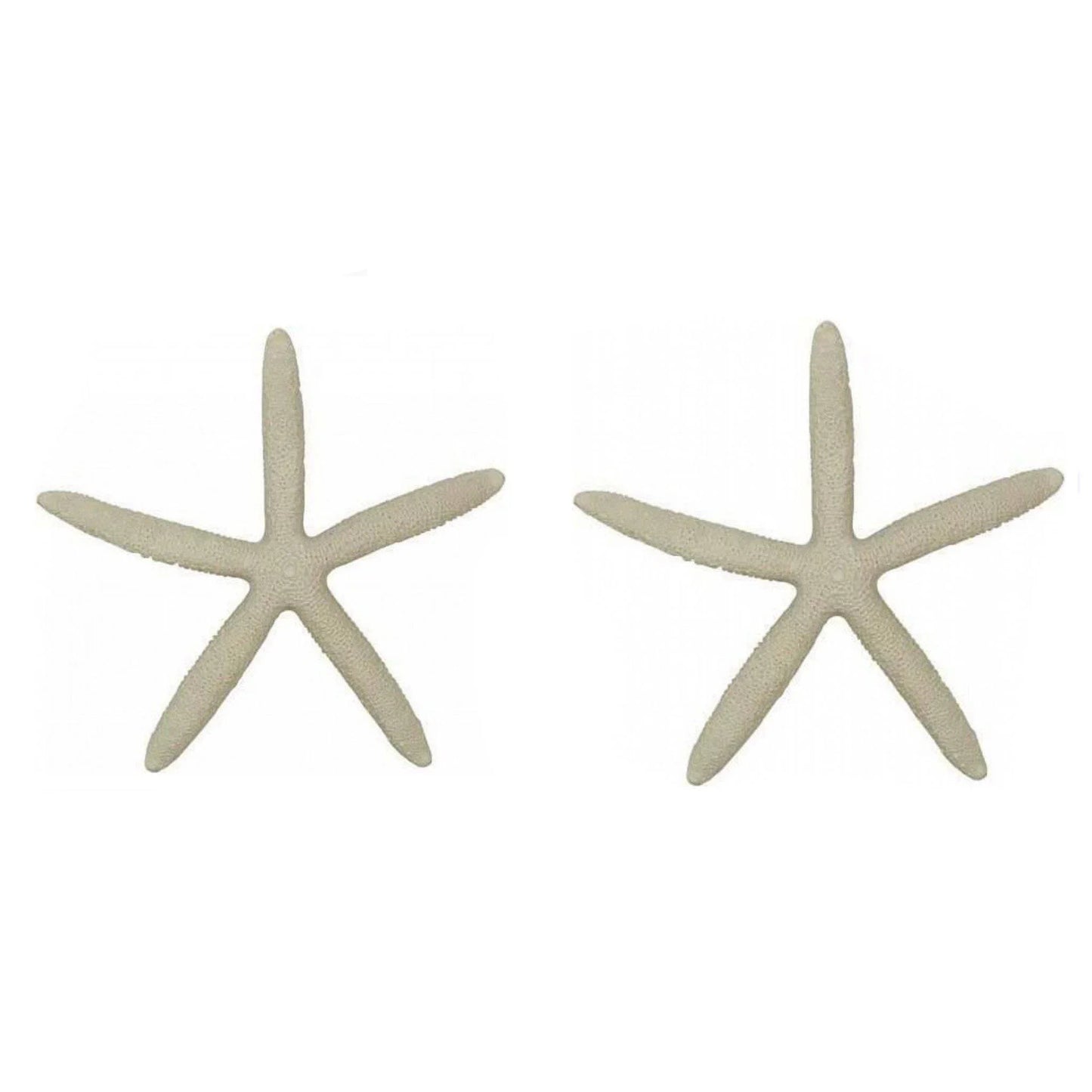 Starfish Set of 2 Cream Decoration - The Renmy Store Homewares & Gifts