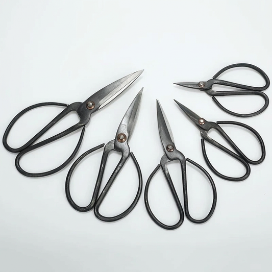 Traditional iron scissors range on white