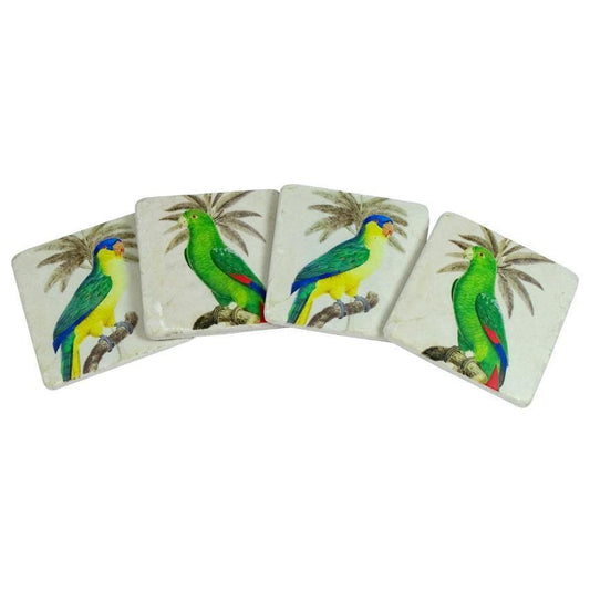 Parrot Birds Tropical Coasters Set of 4 - The Renmy Store Homewares & Gifts