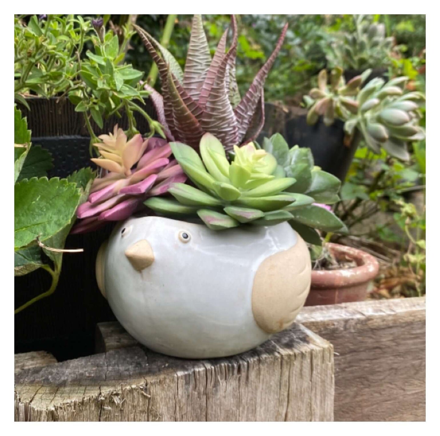 Bird Plant Pot Planter Garden Shabby - The Renmy Store Homewares & Gifts 
