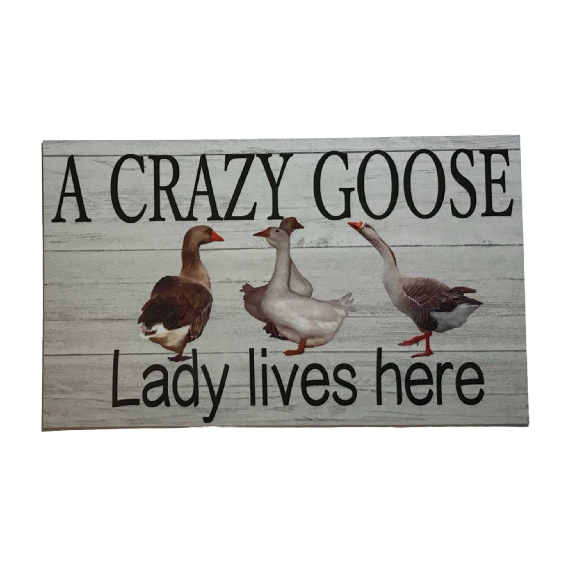 Crazy Goose Geese Lady Lives Here Sign - The Renmy Store Homewares & Gifts 