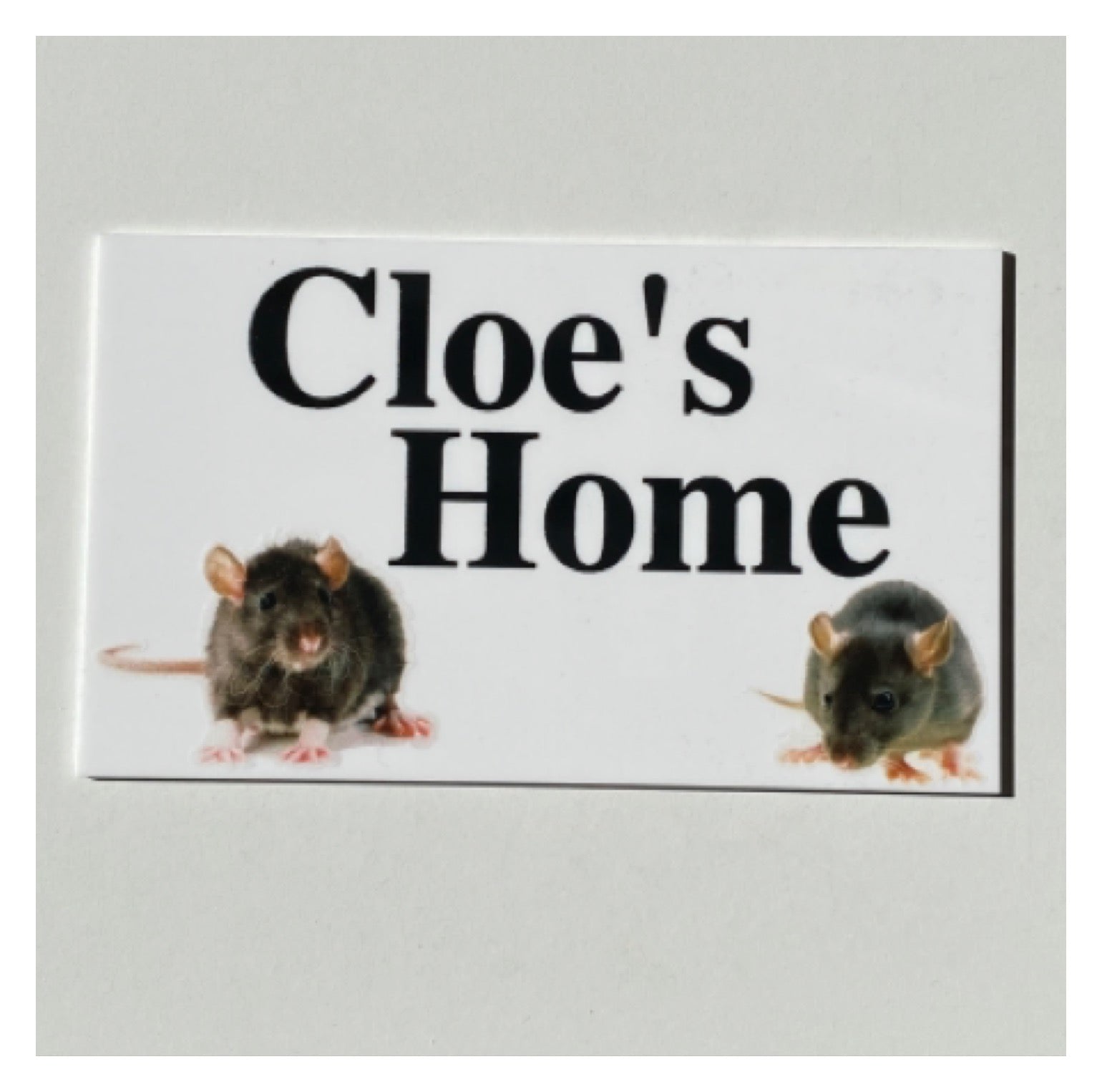 Rat House Pets Name Custom Wording Sign - The Renmy Store