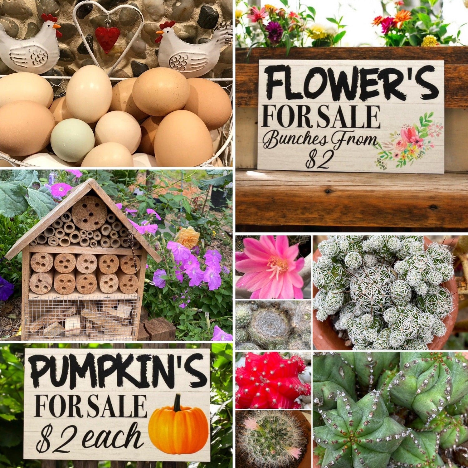 Roadside, Market Stalls and Homesteading signs - The Renmy Store Homewares & Gifts 