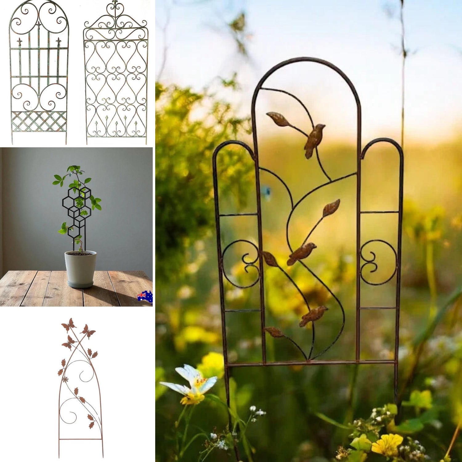 Garden Trellis & Plant Support - Fences Australia