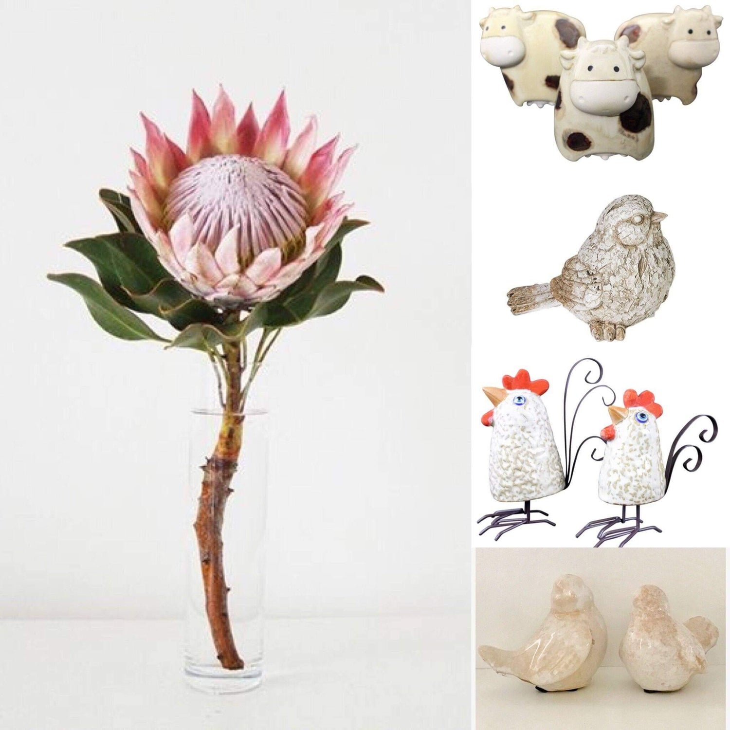 Garden Décor Decorations Ornaments - The Renmy Store Homewares & Gifts 