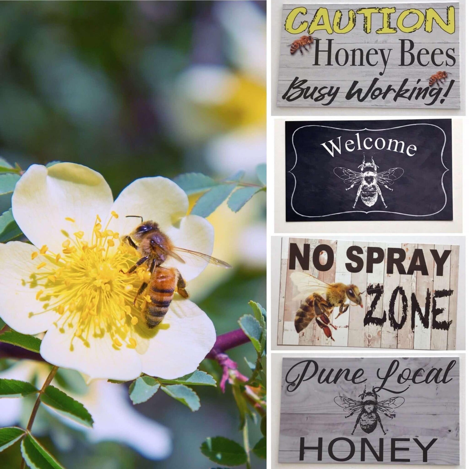 Bee Home Decor Signs - The Renmy Store Homewares & Gifts 