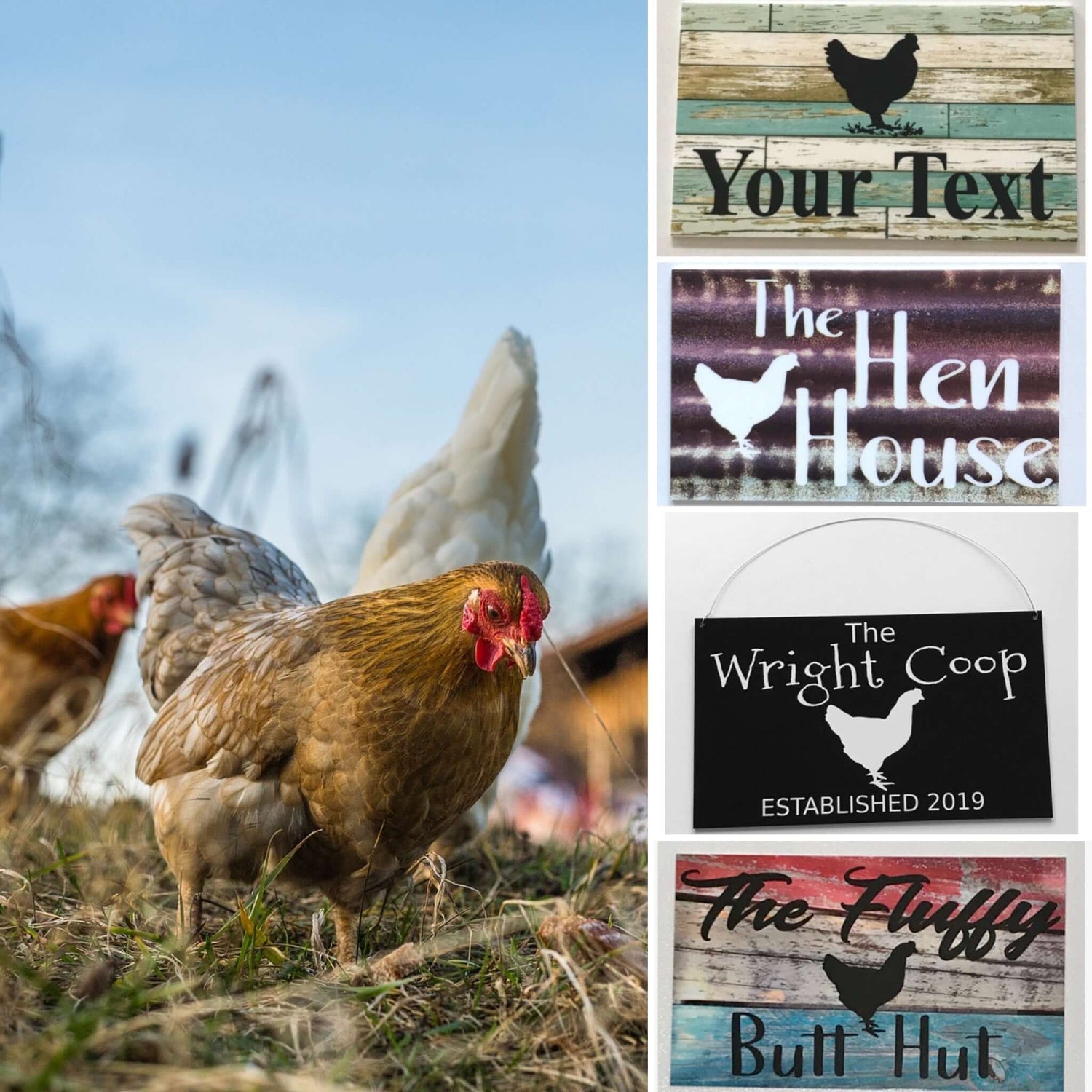 Chicken Coop House Signs