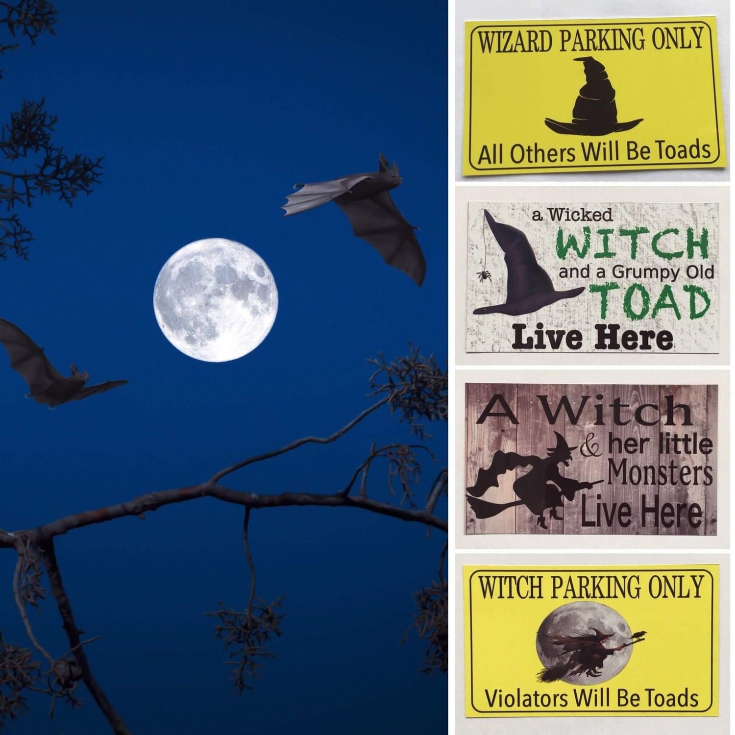 Halloween, Witches, Wizards, Pirates Signs & Decor - The Renmy Store Homewares & Gifts 