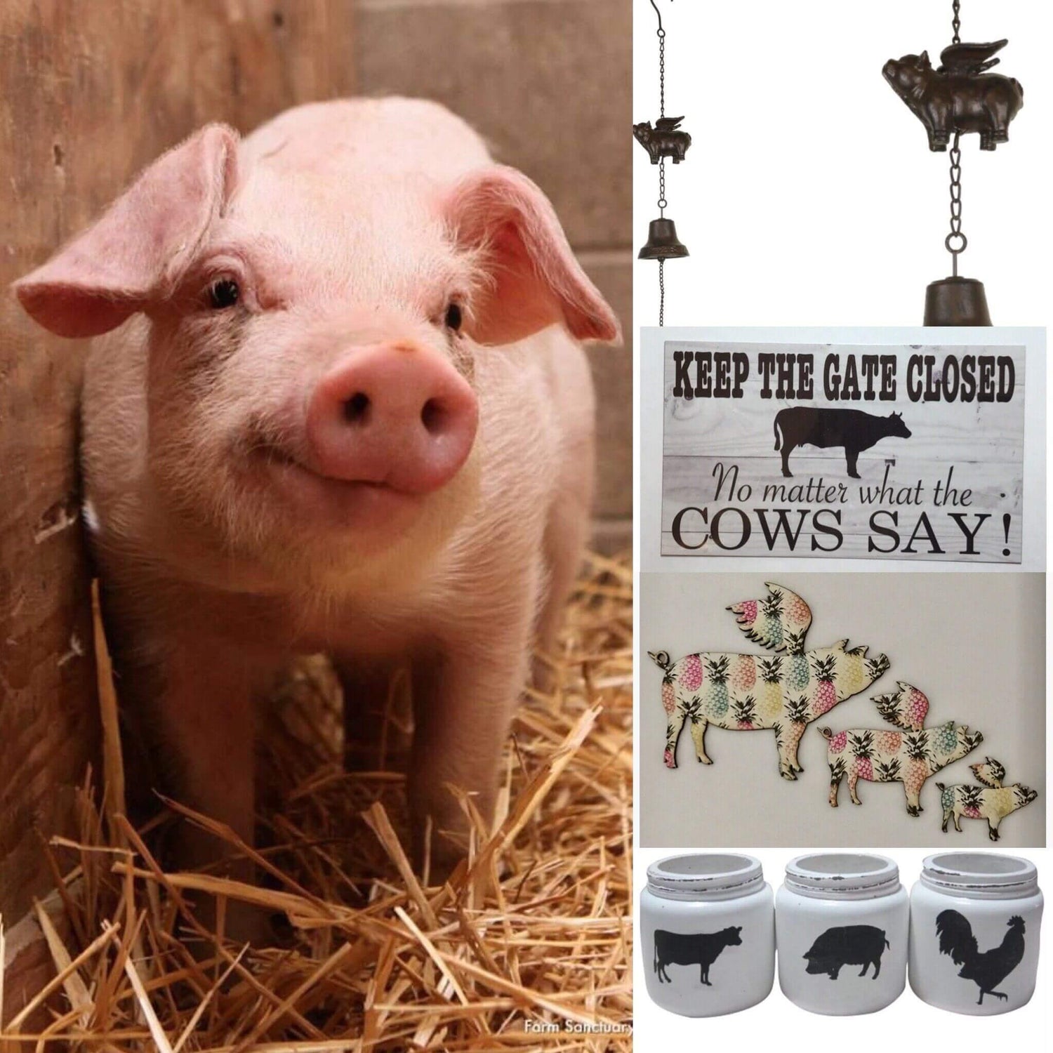 Pig Signs and Home Decor - The Renmy Store Homewares & Gifts 