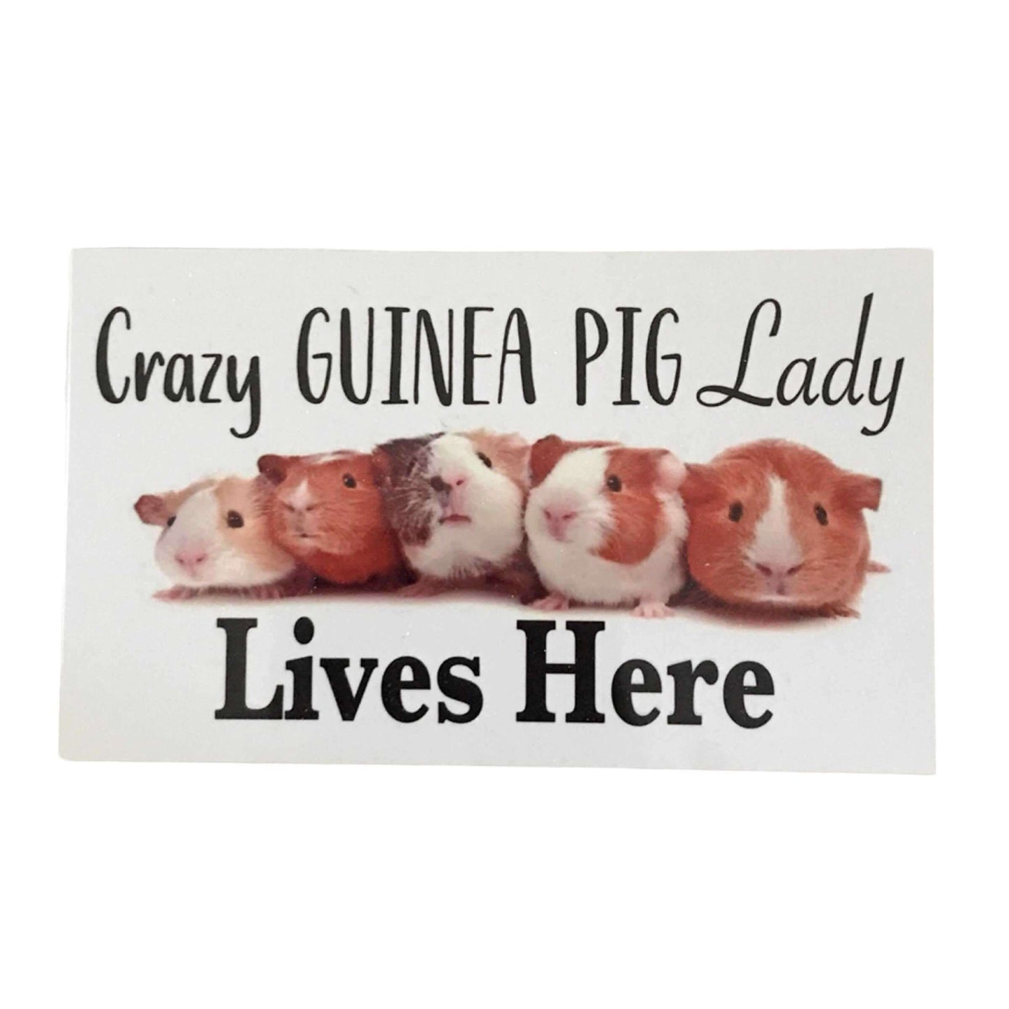 Guinea Pig Socks Keyring and Crazy Lady Sign Gift Set