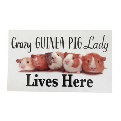 Guinea Pig Socks Keyring and Crazy Lady Sign Gift Set - The Renmy Store Homewares & Gifts 