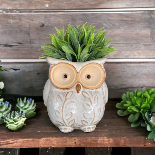 Plant Pot Planter Owl Natural Bird - The Renmy Store Homewares & Gifts 