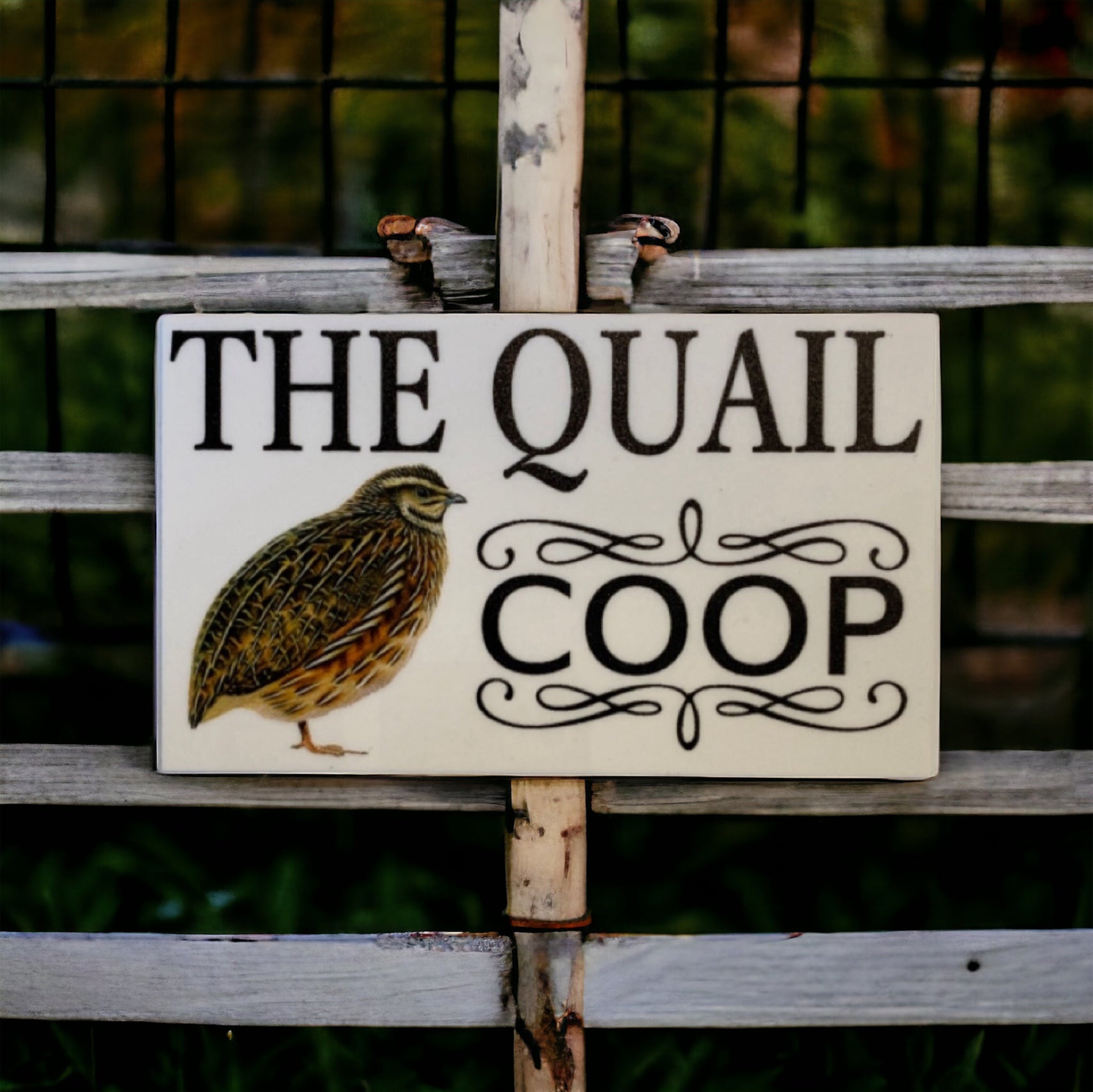 Quail Coop Original White Sign - The Renmy Store Homewares & Gifts 