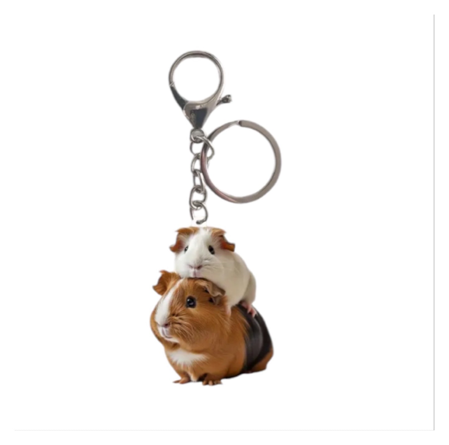 Guinea Pig Socks Keyring and Crazy Lady Sign Gift Set