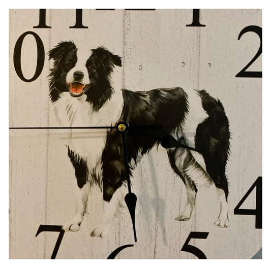 Clock Wall Dog Border Collie 30cm 60cm Aussie Made