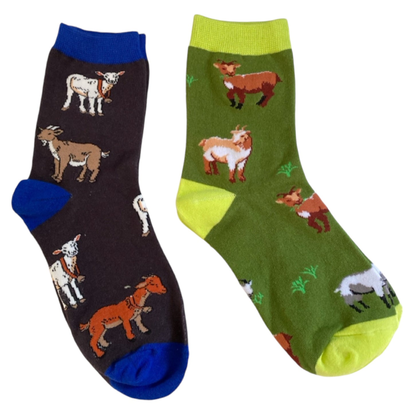 Goat Lover Two Socks and Warning Goat Sign Gift Set