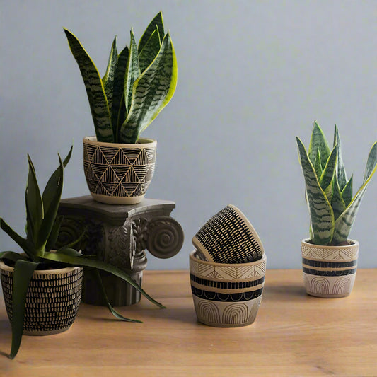 Planter Pot Garden Succulent Cactus Plant Rustic Black