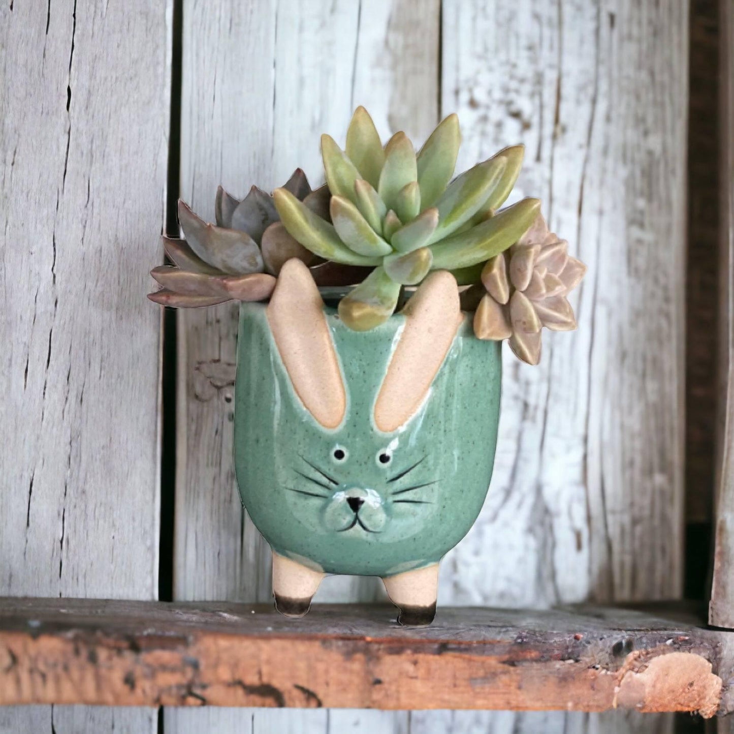 Plant Pot Planter Rabbit Greenery - The Renmy Store Homewares & Gifts 