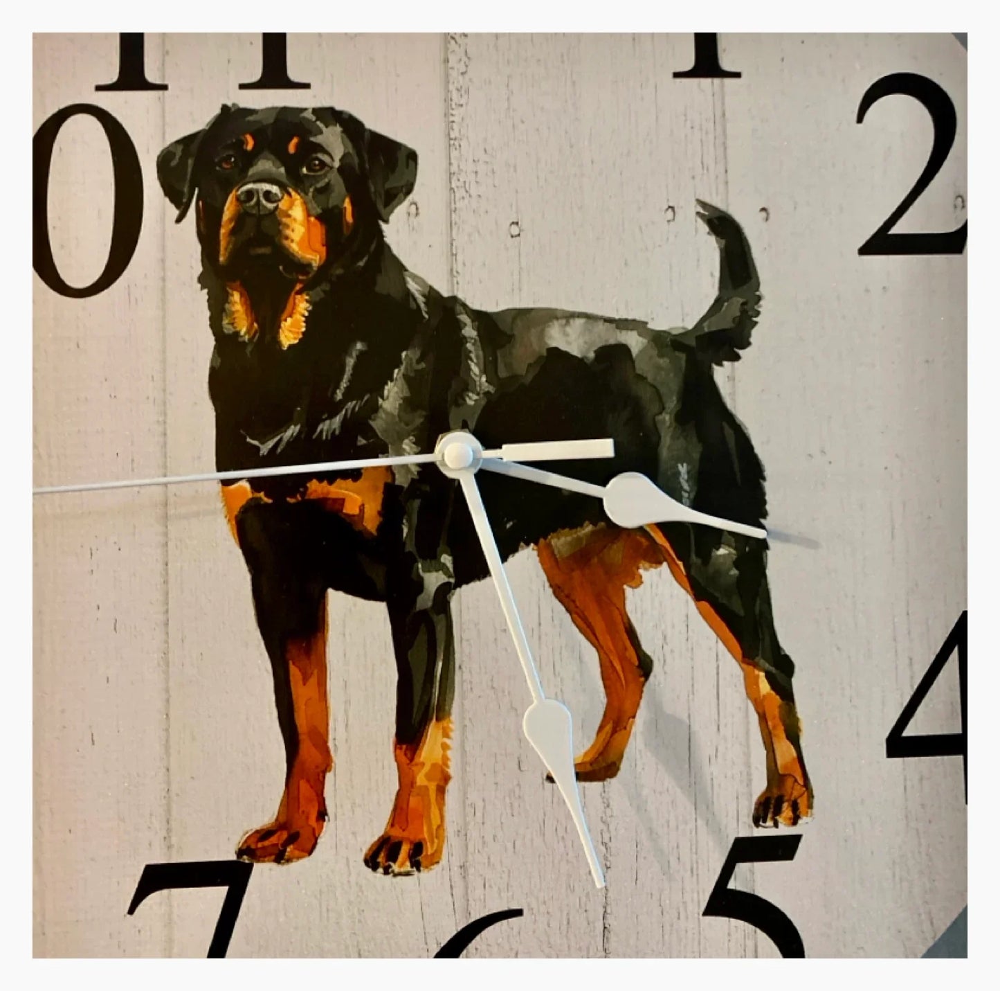 Clock Wall Dog Rottweiler 30cm 60cm Aussie Made