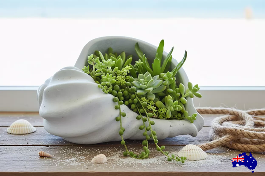 Planter Pot Dish Soap Sea Shell Coastal Aussie Handmade Concrete