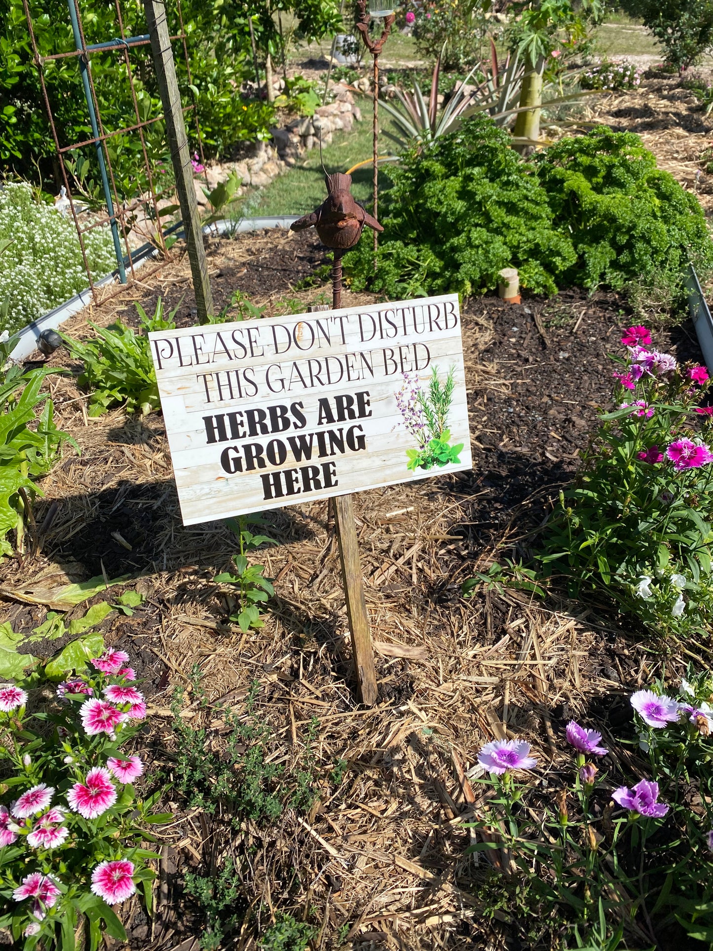 Please Don't Disturb This Garden Veggie Patch Sign