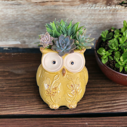 Plant Pot Planter Owl Mustard Bird - The Renmy Store Homewares & Gifts 