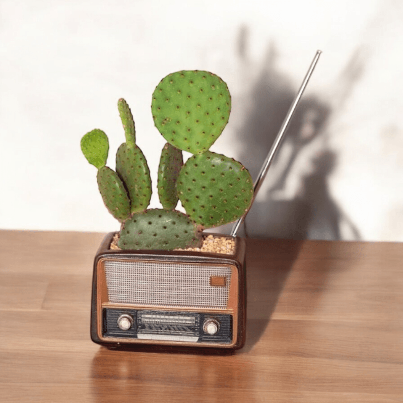 Planter Pot Radio Music Cassette Computer Retro Vintage - The Renmy Store Homewares & Gifts 