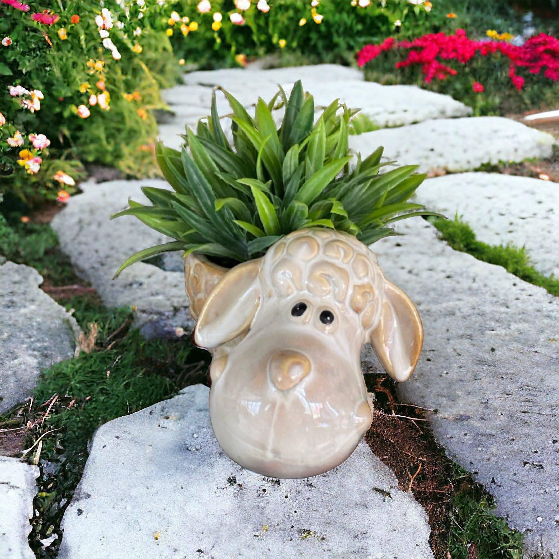 Sheep Country Pot Plant Garden - The Renmy Store Homewares & Gifts 