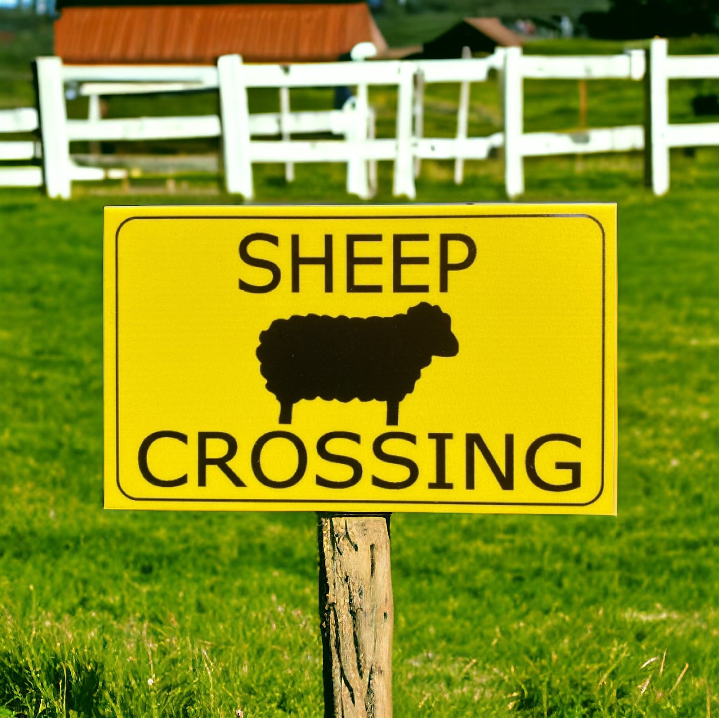 Sheep Ewe Crossing Sign - The Renmy Store Homewares & Gifts 