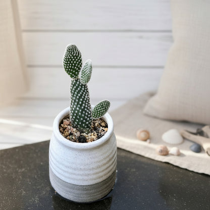 Ceramic Planter Pot Vase 10cm - Grey White Flower Pot