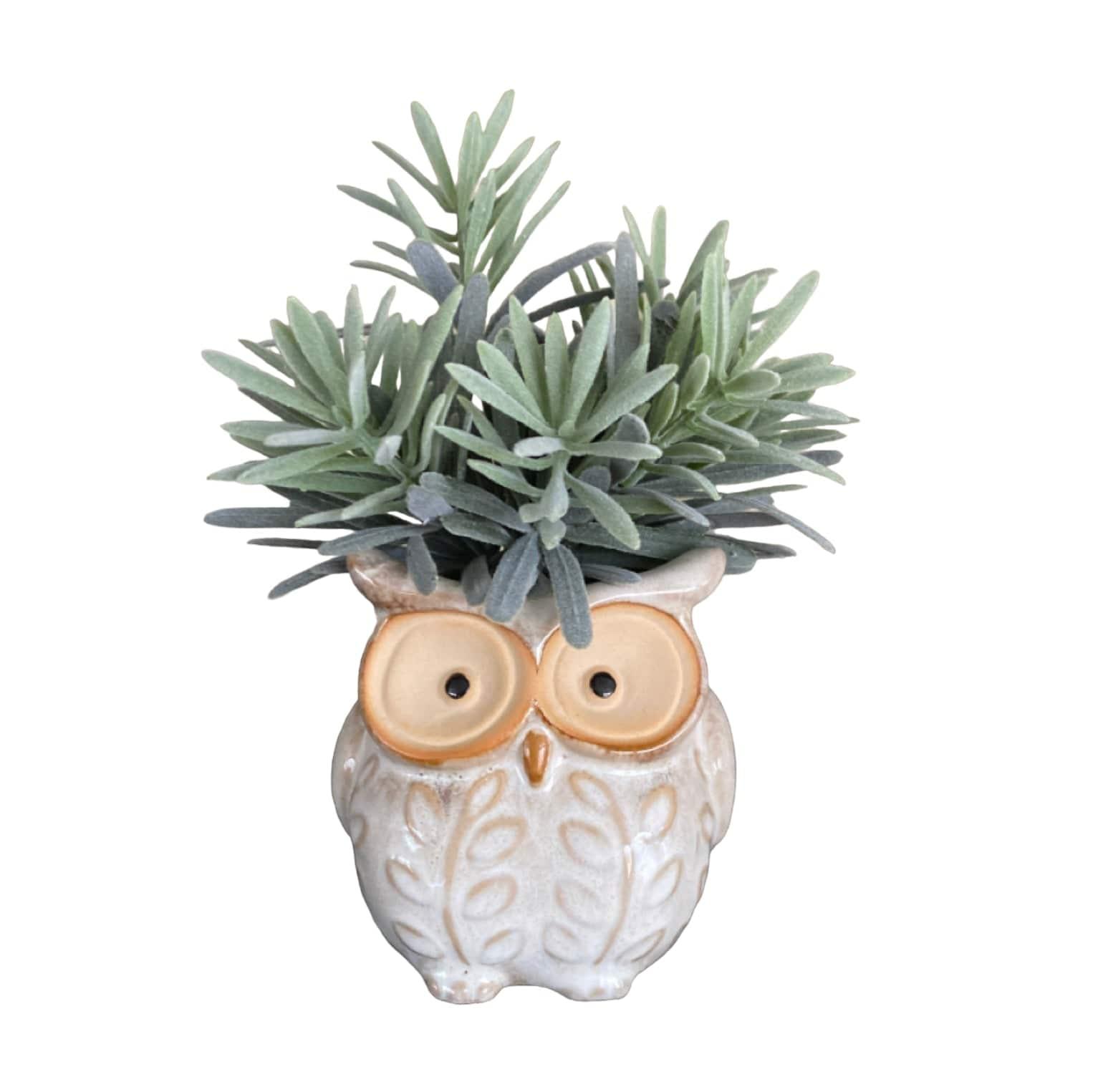 Plant Pot Planter Owl Natural - The Renmy Store Homewares & Gifts 