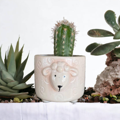 Plant Pot Planter Sheep Country - The Renmy Store Homewares & Gifts 