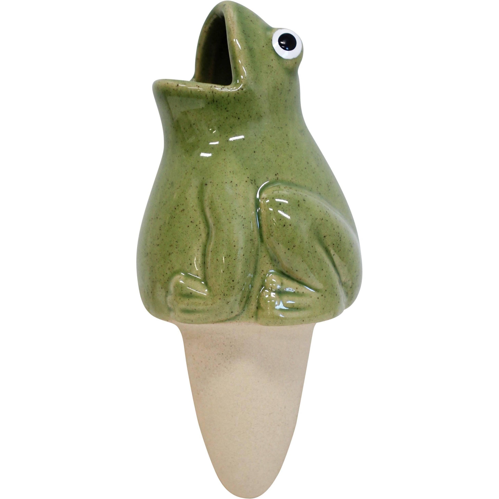 Water Spike Frog Set of 2 - The Renmy Store Homewares & Gifts 