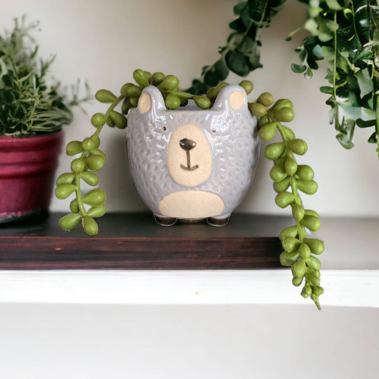 Plant Pot Planter Woodland Bear - The Renmy Store Homewares & Gifts 