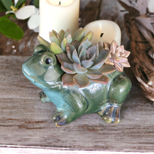 Plant Pot Planter Frog Rupit - The Renmy Store Homewares & Gifts 