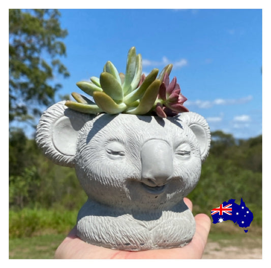 Planter Pot Vase Koala Aussie Handmade Concrete