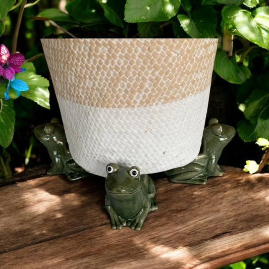 Pot Plant Feet Frog Set of 3 Green - The Renmy Store Homewares & Gifts 