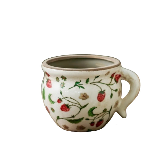 Planter Pot Vase Garden Strawberry Blue Floral Leaf