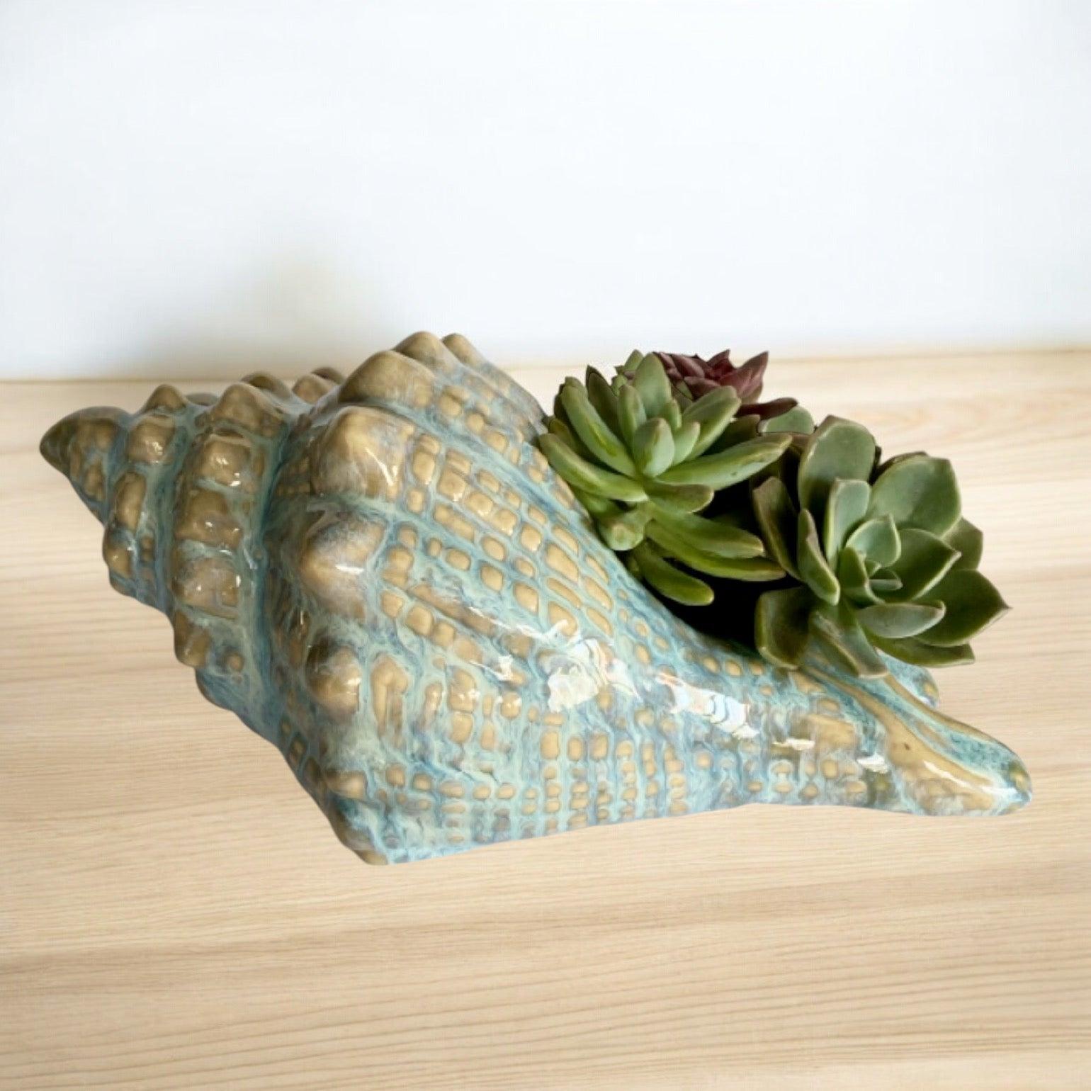 Shell Conch Ocean Ornament Pot Planter Succulents - The Renmy Store Homewares & Gifts 