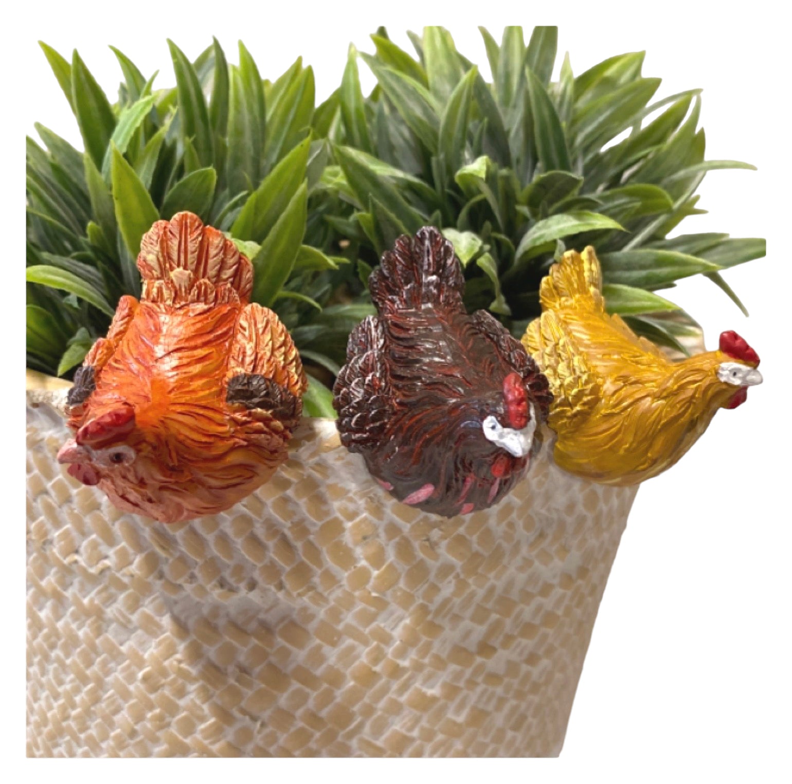 Chicken Hen Pot Sitter Hanger Planter Set of 3 - The Renmy Store Homewares & Gifts 