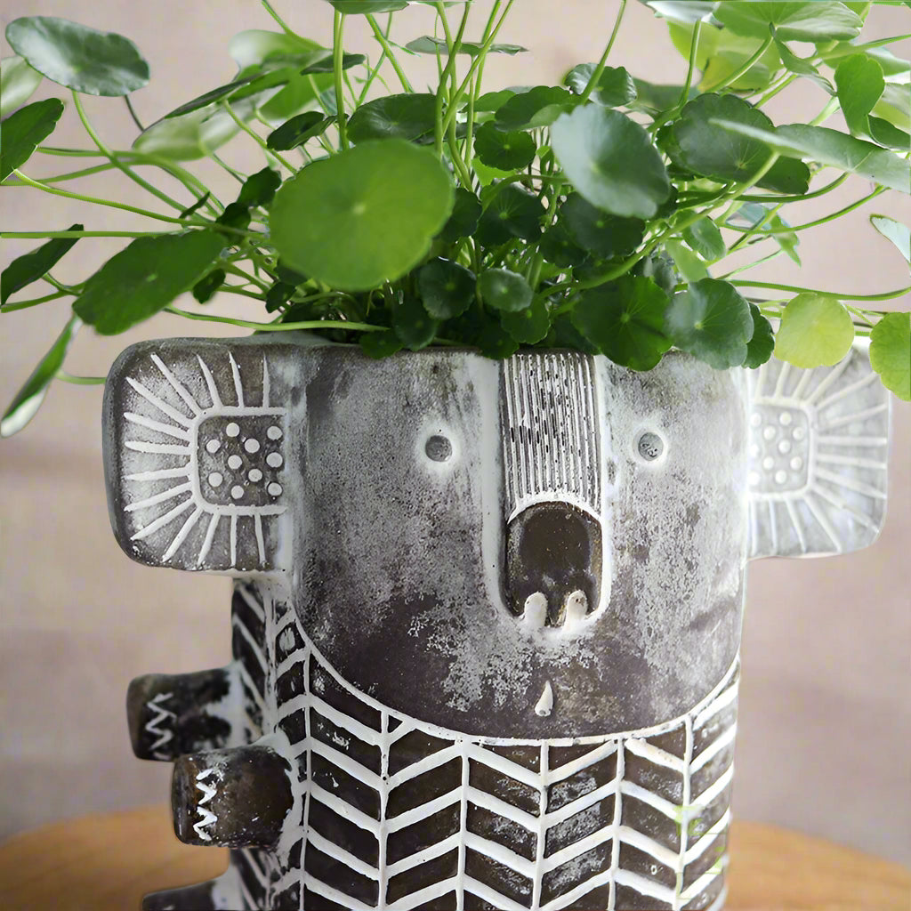 Planter Pot Vase Flower Plant Koala Aussie