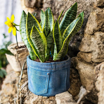 Planter Pot Jeans Rustic Denim Garden - The Renmy Store Homewares & Gifts 