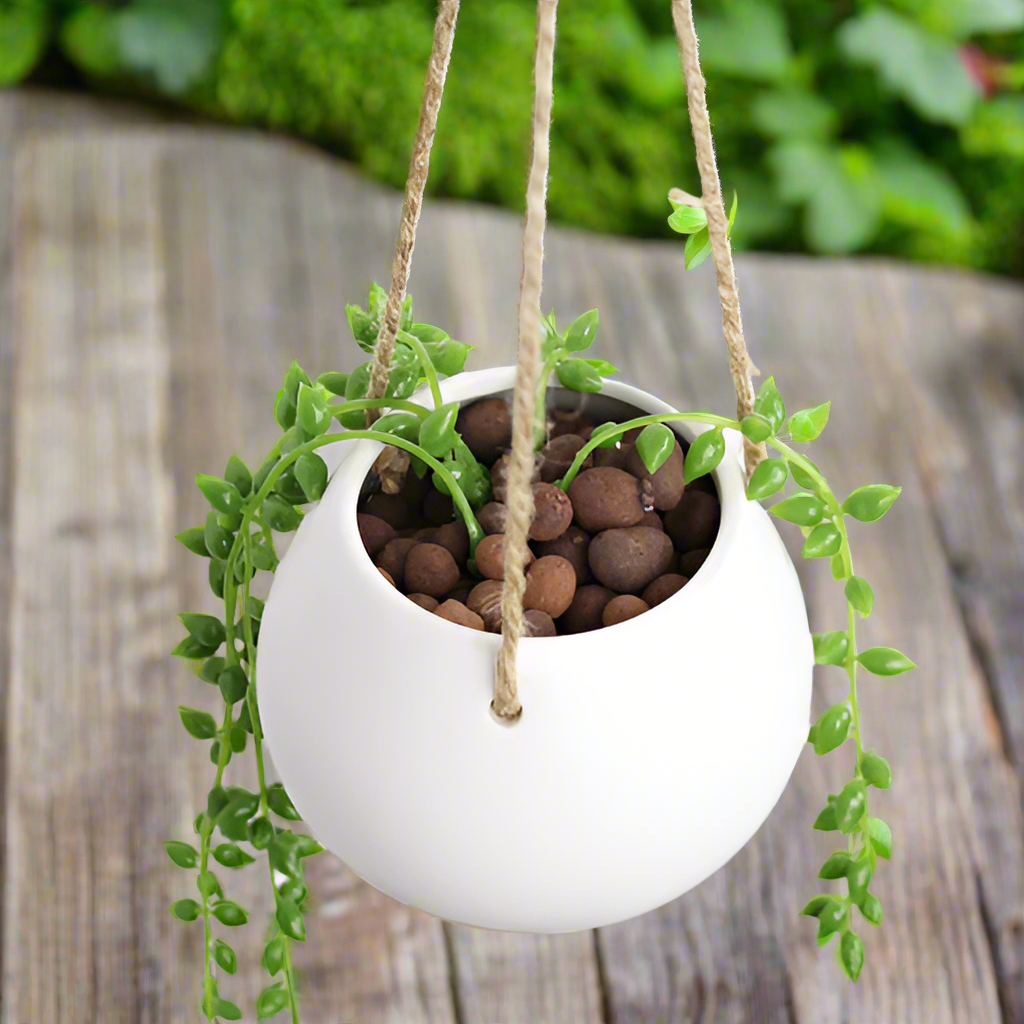 Hanging Planter Pot Black Pink Blue White
