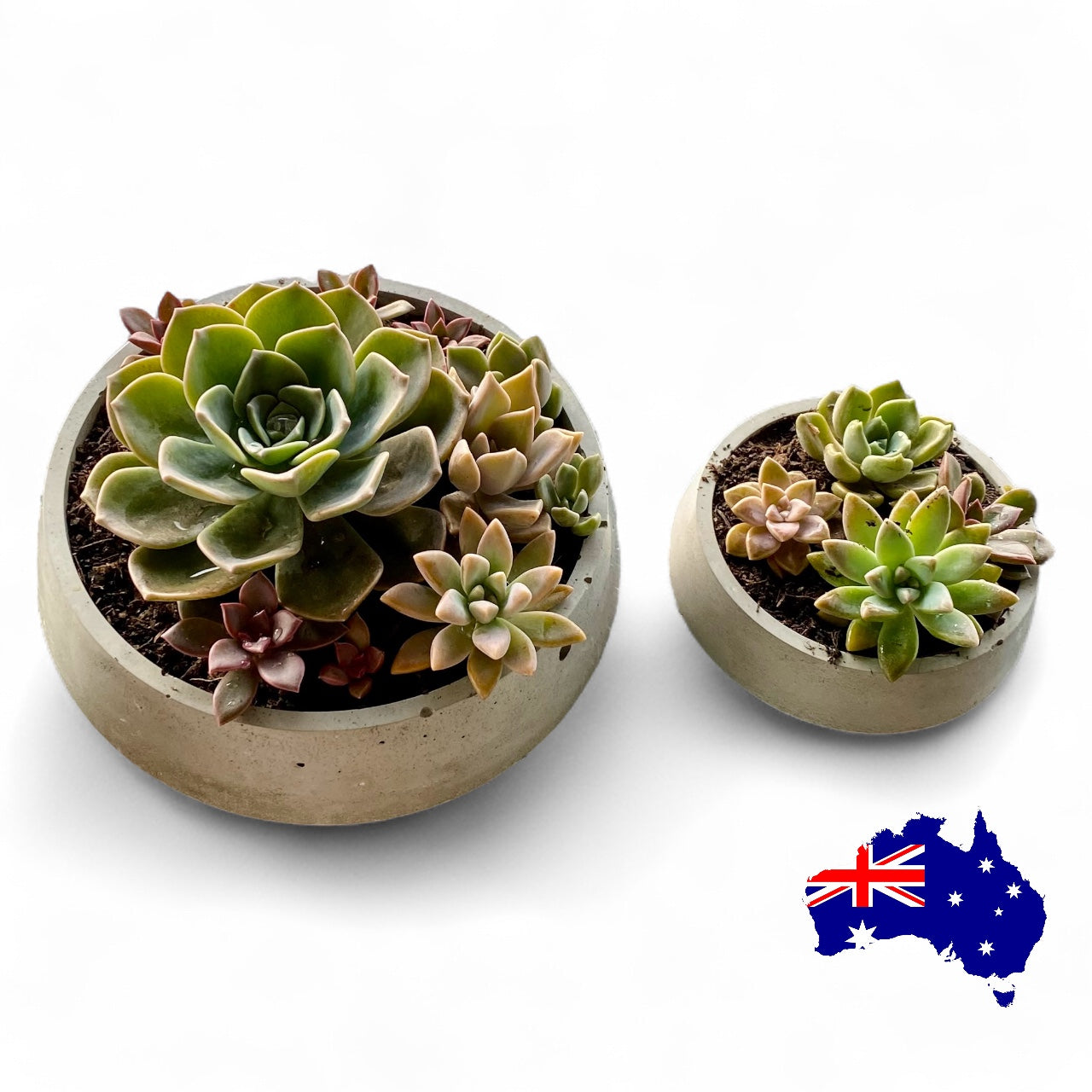 Planter Pot Dish Round Aussie Handmade Concrete